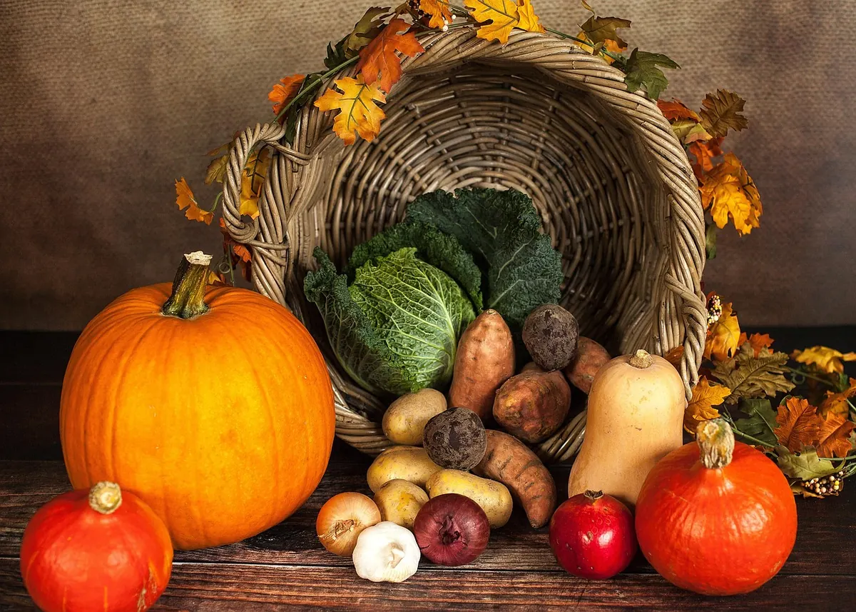 A Month-by-Month Foraging Calendar for Temperate Climates
